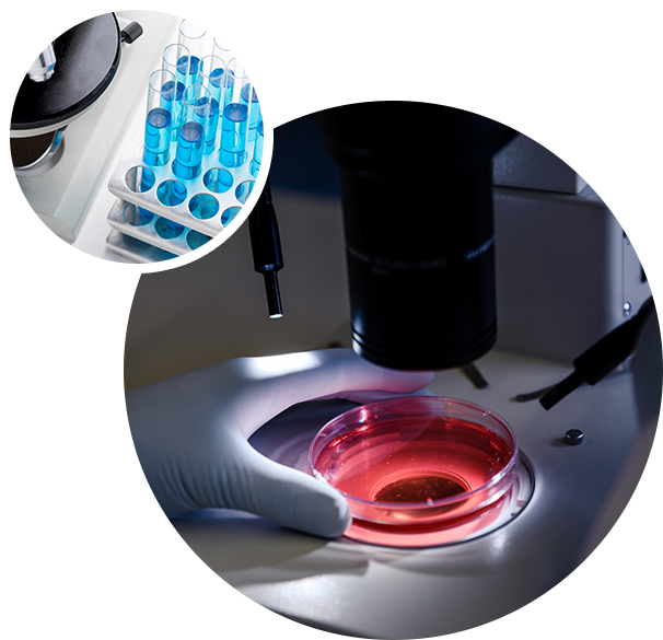 w88win�ŵ�(�й�)���޹�˾