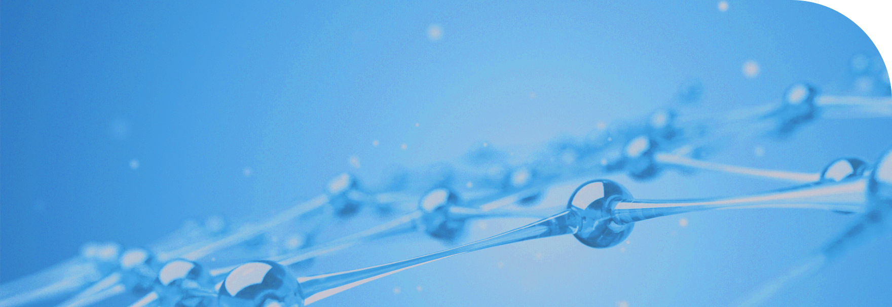 w88win�ŵ�(�й�)���޹�˾