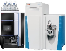 w88win�ŵ�(�й�)���޹�˾