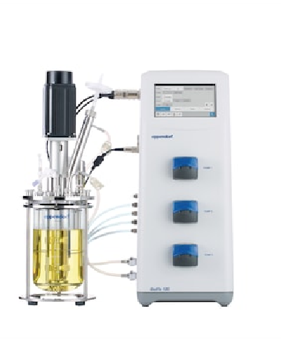 w88win�ŵ�(�й�)���޹�˾