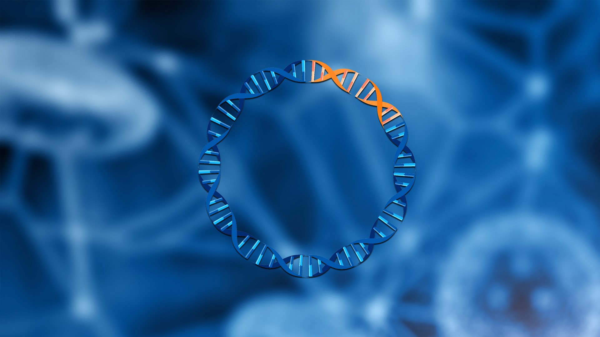 w88win�ŵ�(�й�)���޹�˾