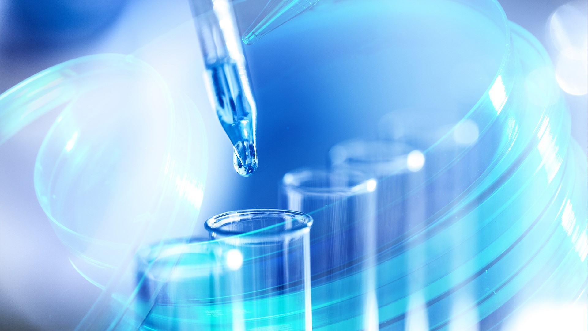 w88win�ŵ�(�й�)���޹�˾