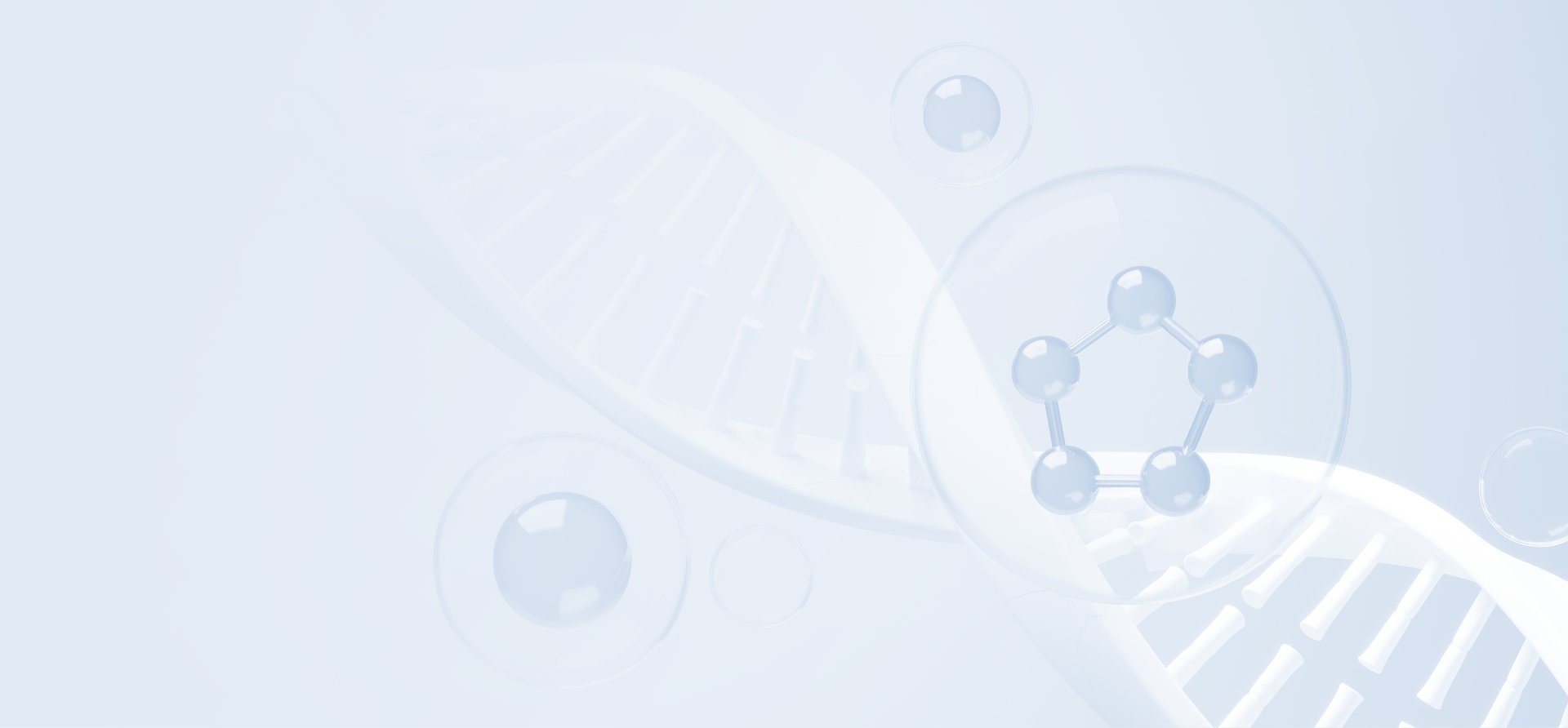 w88win�ŵ�(�й�)���޹�˾