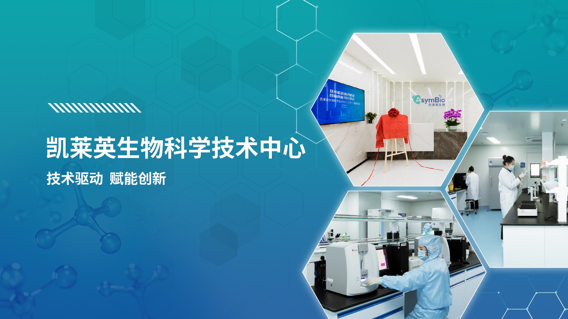 w88win�ŵ�(�й�)���޹�˾