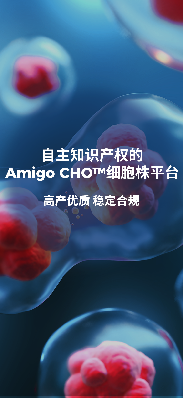 w88win�ŵ�(�й�)���޹�˾