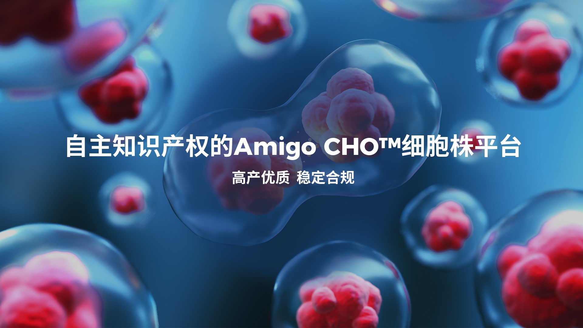 w88win�ŵ�(�й�)���޹�˾